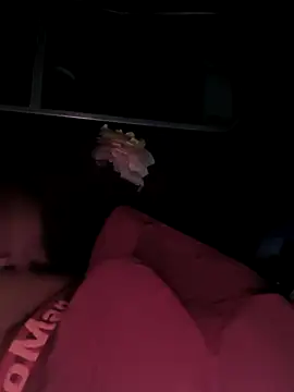 Snapshot of rajdehli chatting on December 4, 2025, 4:05 pm rajdehli online show from December 4, 2025, 4:05 pm