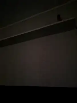 NibbleSweetie online show from December 13, 2025, 8:47 pm