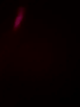 Snapshot of Size_x@xh chatting on January 16, 2026, 5:50 pm Size xxh online show from January 16, 2026, 5:50 pm