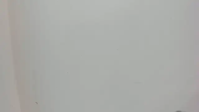 Saammy 17 online show from October 3, 2025, 8:06 pm