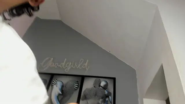 Snapshot of camillo_virgil chatting on October 14, 2025, 10:49 am camillo virgil online show from October 14, 2025, 10:49 am