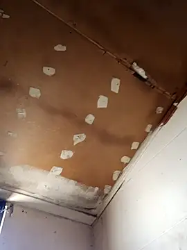 lucho2328 online show from November 11, 2025, 7:47 pm