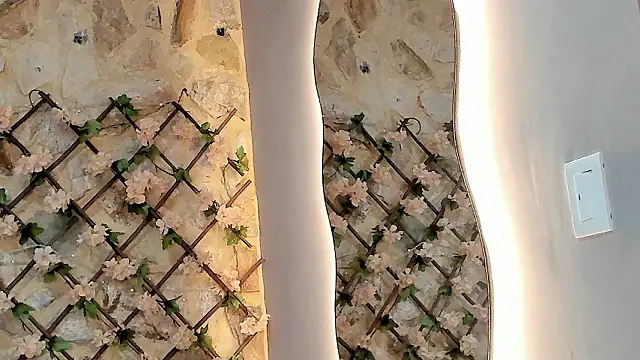 VenusBlazer online show from February 7, 2026, 3:21 am