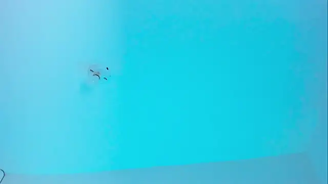 Snapshot of Ellope_ chatting on November 19, 2025, 9:59 pm Ellope online show from November 19, 2025, 9:59 pm