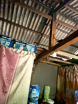 PhanHaa online show from October 20, 2025, 8:59 am