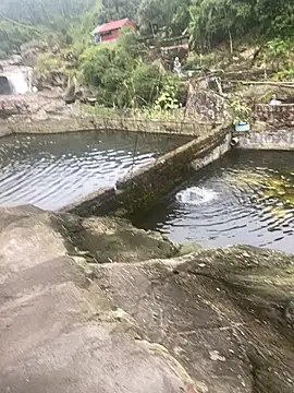 PhanHaa online show from November 10, 2025, 9:30 am