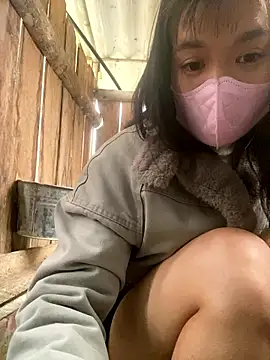 Snapshot of PhanHaa chatting on January 16, 2026, 2:04 am PhanHaa online show from January 16, 2026, 2:04 am