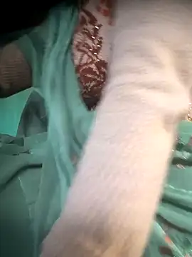 cut renukadevi online show from December 17, 2025, 1:55 am