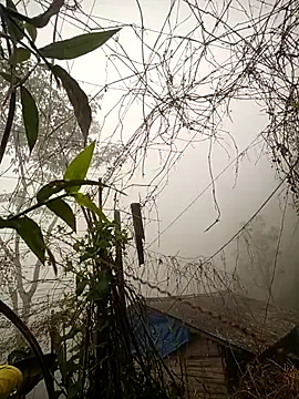 quynhkoolbae online show from February 28, 2026, 12:44 am