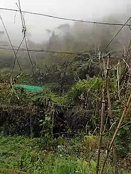 quynhkoolbae online show from March 11, 2026, 3:12 am