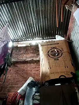 Pinki thakur 1 online show from December 3, 2025, 10:24 am