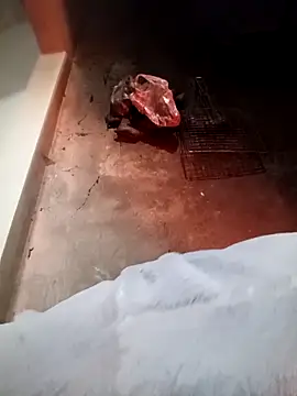 fanchunn online show from February 9, 2026, 9:57 am