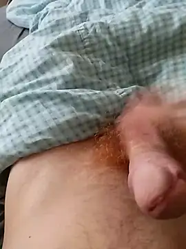 bodrika online show from February 17, 2026, 2:57 pm