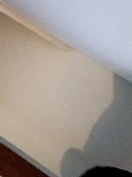 Snapshot of Andrez5041 chatting on October 14, 2025, 4:02 am Andrez5041 online show from October 14, 2025, 4:02 am