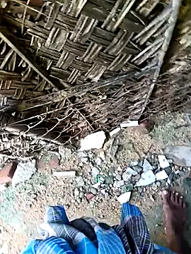 dolphiinn online show from November 30, 2025, 4:27 am