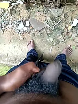 Snapshot of dolphiinn chatting on December 17, 2025, 4:51 am dolphiinn online show from December 17, 2025, 4:51 am