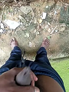 Snapshot of dolphiinn chatting on December 18, 2025, 4:18 am dolphiinn online show from December 18, 2025, 4:18 am