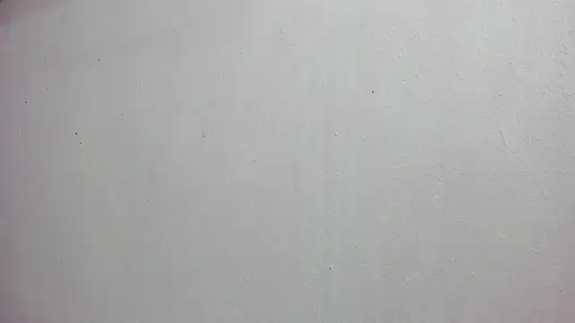 Snapshot of scarlett646 chatting on November 14, 2025, 3:05 am scarlett646 online show from November 14, 2025, 3:05 am