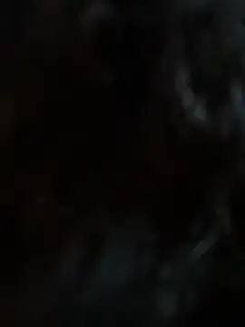 StylishEchium online show from January 19, 2026, 12:09 pm