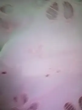 merylove-00 online show from April 15, 2026, 3:30 pm