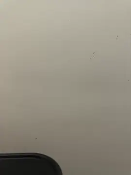 Snapshot of moneymarcii chatting on February 17, 2026, 9:39 am moneymarcii online show from February 17, 2026, 9:39 am