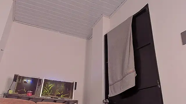 Cj davis  online show from December 3, 2025, 2:04 pm