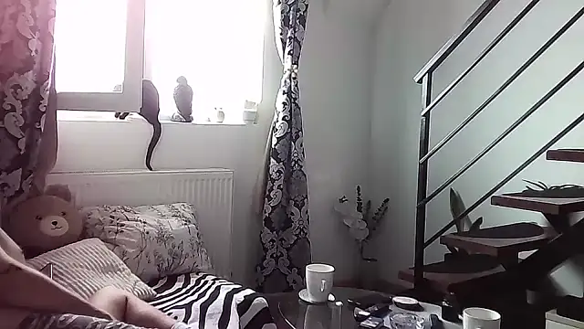 RyanStorm  online show from September 10, 2025, 9:42 am