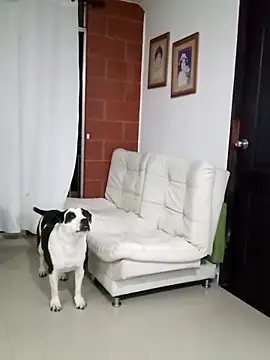 Isbettyche online show from February 11, 2026, 11:54 pm