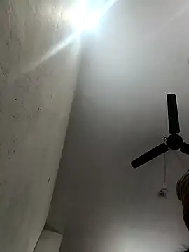 Appypie online show from November 14, 2025, 4:00 am