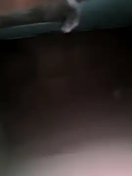 Stree18 online show from September 15, 2025, 7:52 am