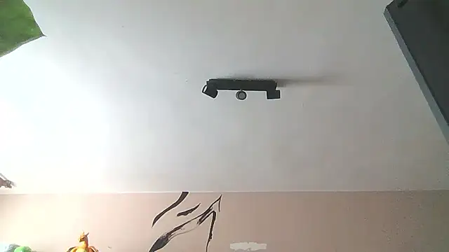 Snapshot of __Leyla__ chatting on January 12, 2026, 12:21 pm Leyla online show from January 12, 2026, 12:21 pm