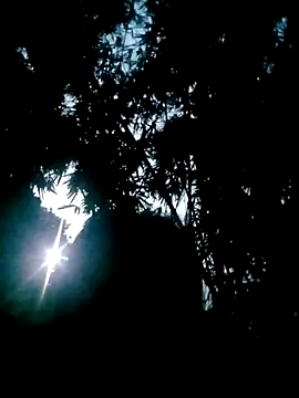 Lisa pusy online show from October 22, 2025, 10:42 pm