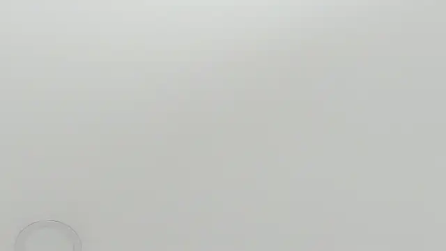 Snapshot of scarletross_ chatting on February 26, 2026, 2:38 pm scarletross online show from February 26, 2026, 2:38 pm