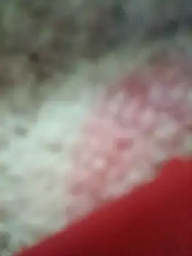 Snapshot of vardh033 chatting on September 16, 2025, 5:03 pm vardh033 online show from September 16, 2025, 5:03 pm
