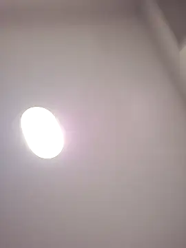 Danypeluche online show from December 15, 2025, 8:40 am