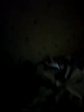 IncompatibleBean41 online show from September 20, 2025, 12:17 pm