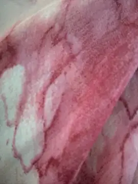 Monika thakurr online show from April 5, 2026, 1:58 am