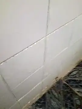 kelvinjesus34 online show from October 19, 2025, 6:36 am