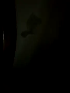 Bruno18cmmmmkk online show from December 19, 2025, 3:46 am