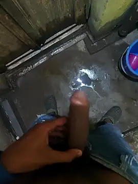 Snapshot of biswasb900 chatting on November 23, 2025, 11:54 am biswasb900 online show from November 23, 2025, 11:54 am