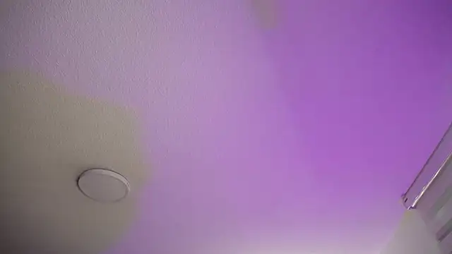  Charlotte Collins  online show from November 22, 2025, 2:16 pm