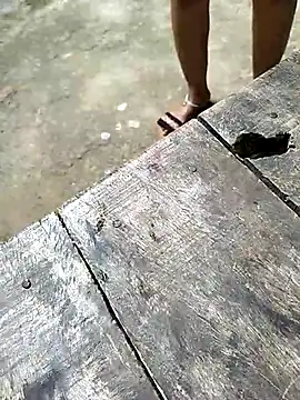 sexy  girls98 online show from December 3, 2025, 5:48 am