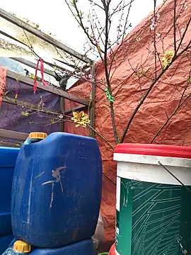 liu-liusexy online show from February 15, 2026, 7:51 am