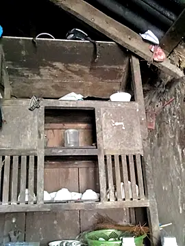 omiu-baby online show from April 9, 2026, 2:11 am