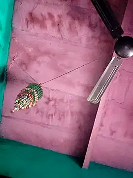 Pooja750 online show from February 6, 2026, 8:40 am