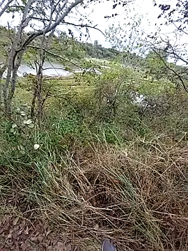 Snapshot of slaveman4you chatting on September 18, 2025, 12:40 pm slaveman4you online show from September 18, 2025, 12:40 pm