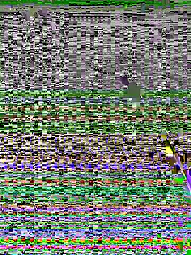 Yumii 09 online show from October 8, 2025, 8:50 pm