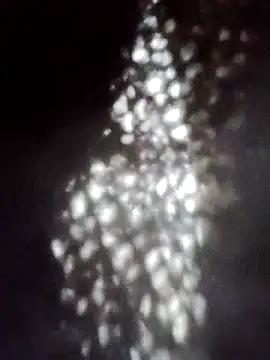 Snapshot of Perropa chatting on January 18, 2026, 5:28 pm Perropa online show from January 18, 2026, 5:28 pm