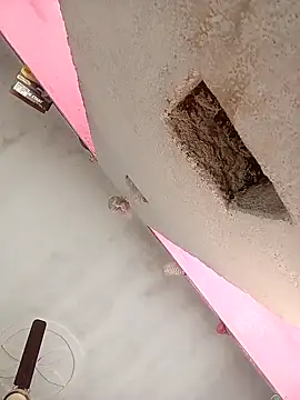 Snapshot of Payal950 chatting on February 7, 2026, 7:45 am Payal950 online show from February 7, 2026, 7:45 am