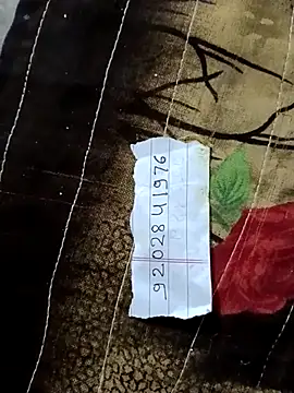 Snapshot of Payal950 chatting on February 14, 2026, 10:17 pm Payal950 online show from February 14, 2026, 10:17 pm